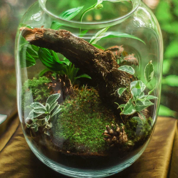 eco-friendly eco-friendly mgo board