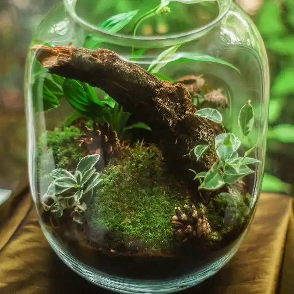 eco-friendly eco-friendly mgo board